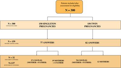 Is the mental health of couples with twins more at risk? Results from an Italian cohort study